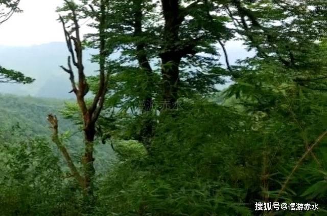 你的男友/老公因为什么哭过？游戏画面