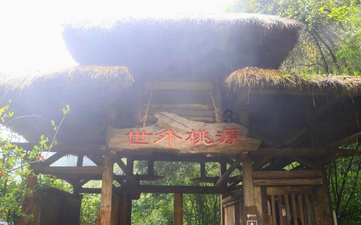 虫虫助手下载