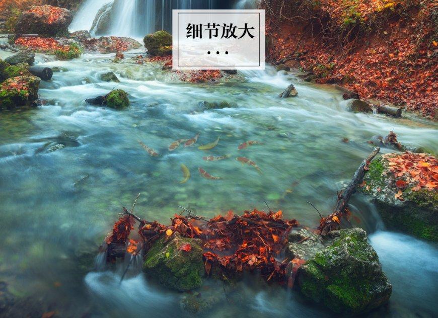 摇摆直升机比赛