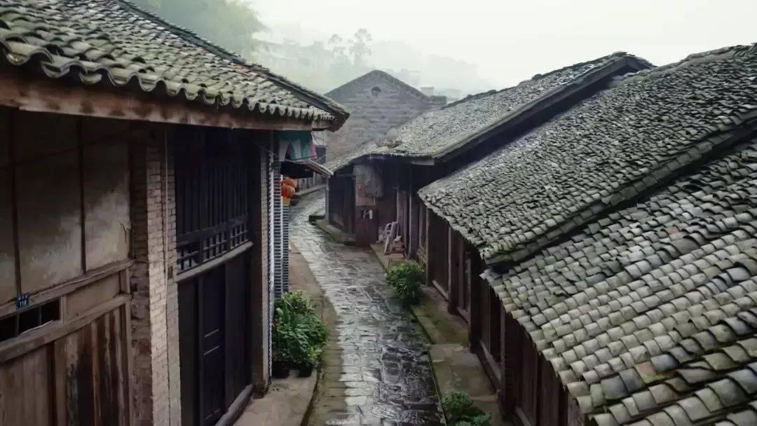什么样的桔子是甜的