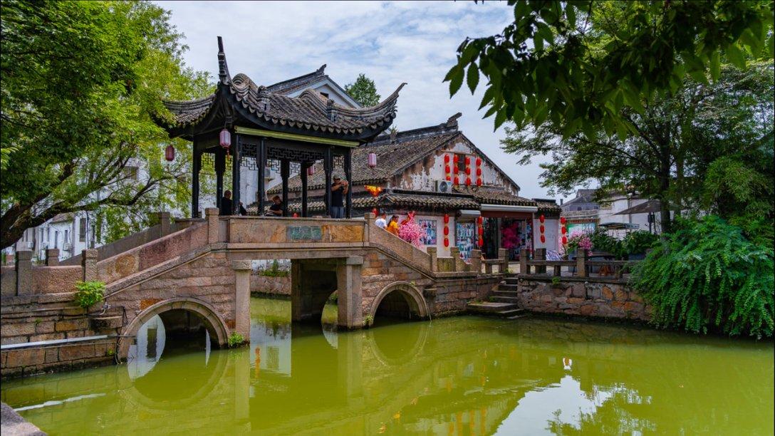 拯救可爱小鳄鱼